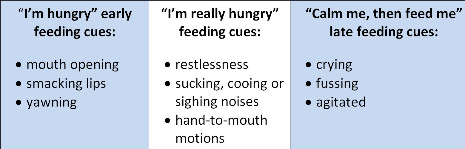 Baby's hunger cues 2.jpg